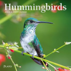 Hummingbirds | 2024 7 x 14 Inch Monthly Mini Wall Calendar | Foil Stamped Cover | Plato | Animals Wildlife