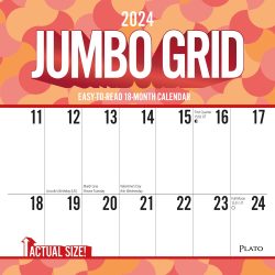 Jumbo Grid Large Print | 2024 12 x 24 Inch Monthly Square Wall Calendar | Matte Paper and Foil Stamped Cover | Plato | Easy to See Large Font