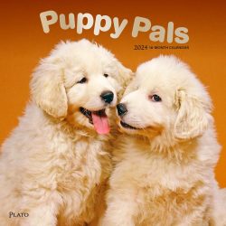 Puppy Pals | 2024 12 x 24 Inch Monthly Square Wall Calendar | Foil Stamped Cover | Plato | Animals Dog Breeds Pets
