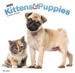 Kittens & Puppies | 2024 12 x 24 Inch Monthly Square Wall Calendar | Foil Stamped Cover | Plato | Animals Cute Kitten Pets
