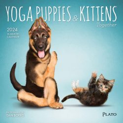 Yoga Puppies & Kittens Together OFFICIAL | 2024 7 x 14 Inch Monthly Mini Wall Calendar | Plato | Animals Dogs Cats Pets