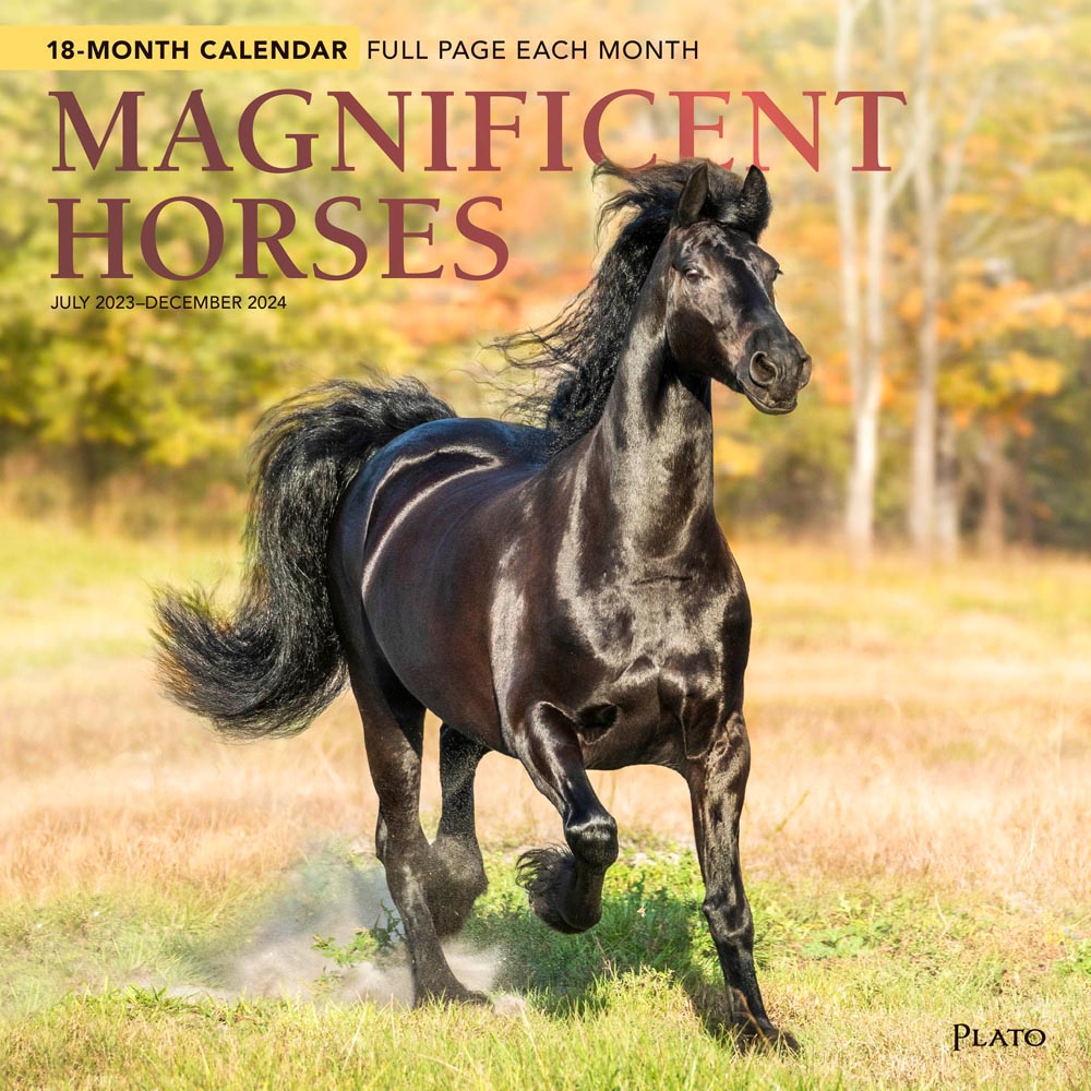 Magnificent Horses | 2024 12 x 24 Inch 18 Months Monthly Square Wall Calendar | Foil Stamped Cover | July 2023 - December 2024 | Plato | Animals Equestrian