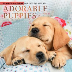 Adorable Puppies | 2024 12 x 24 Inch 18 Months Monthly Square Wall Calendar | Foil Stamped Cover | July 2023 - December 2024 | Plato | Animals Dog Breeds Pets
