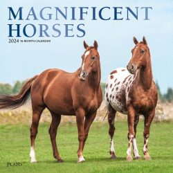 Magnificent Horses | 2024 12 x 24 Inch Monthly Square Wall Calendar | Foil Stamped Cover | Plato | Animals Horses Equestrian