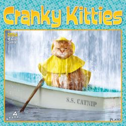 Avanti Cranky Kitties | 2024 12 x 24 Inch Monthly Square Wall Calendar | Plato | Angry Cat Humor