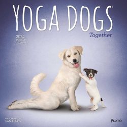 Yoga Dogs Together OFFICIAL | 2024 12 x 24 Inch Monthly Square Wall Calendar | Plato | Animals Humor Pets
