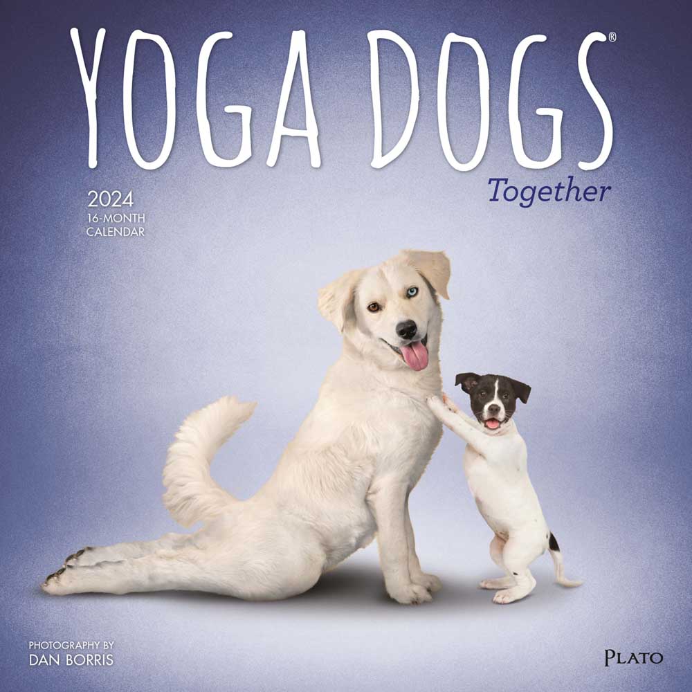 Yoga Dogs Together OFFICIAL | 2024 12 x 24 Inch Monthly Square Wall Calendar | Plato | Animals Humor Pets