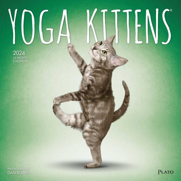 Yoga Kittens OFFICIAL | 2024 12 x 24 Inch Monthly Square Wall Calendar | Plato | Animals Humor Cats Feline