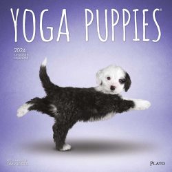 Yoga Puppies OFFICIAL | 2024 12 x 24 Inch Monthly Square Wall Calendar | Plato | Animals Humor Puppy Dogs Canine