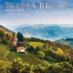 Italia Bella | 2024 12 x 24 Inch Monthly Square Wall Calendar | Foil Stamped Cover | Plato | Scenic Travel Europe Italian Venice Rome
