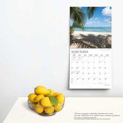 2024 12 x 24 Inch Monthly Square Wall Calendar