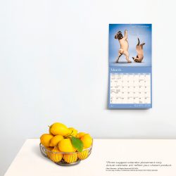 2024 7 x 14 Inch Monthly Mini Wall Calendar