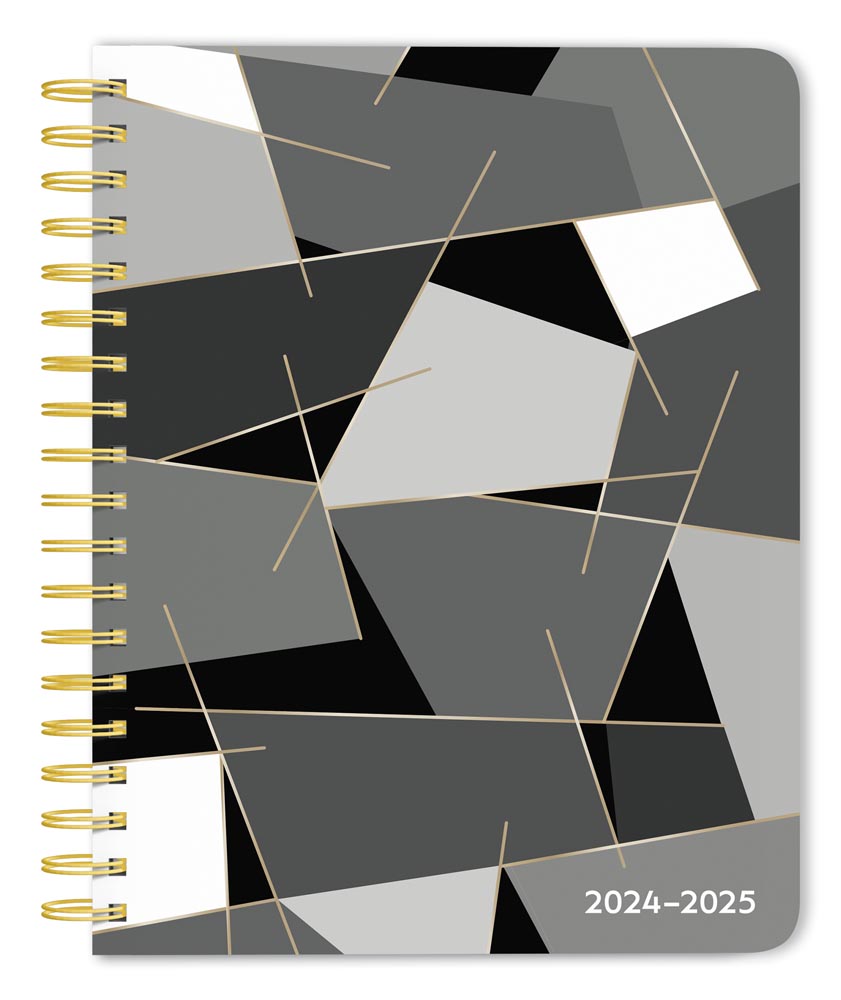 Pen & Ink | 2025 6 x 7.75 Inch 18 Months Weekly Desk Planner | Foil Stamped Cover | July 2024 - December 2025 | Plato | Stationery Planning