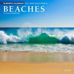 Beaches | 2025 12 x 24 Inch 18 Months Monthly Square Wall Calendar | July 2024 - December 2025 | Plastic-Free | Plato | Travel Nature Tropical