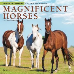 Magnificent Horses | 2025 12 x 24 Inch 18 Months Monthly Square Wall Calendar | July 2024 - December 2025 | Plastic-Free | Plato | Animals Equestrian