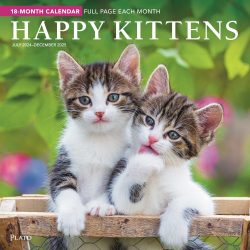 Happy Kittens | 2025 12 x 24 Inch 18 Months Monthly Square Wall Calendar | July 2024 - December 2025 | Plastic-Free | Plato | Animals Cats Feline