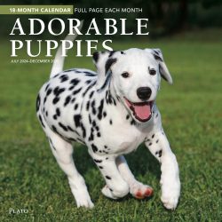 Adorable Puppies | 2025 12 x 24 Inch 18 Months Monthly Square Wall Calendar | July 2024 - December 2025 | Plastic-Free | Plato | Animals Dog Breeds Pets