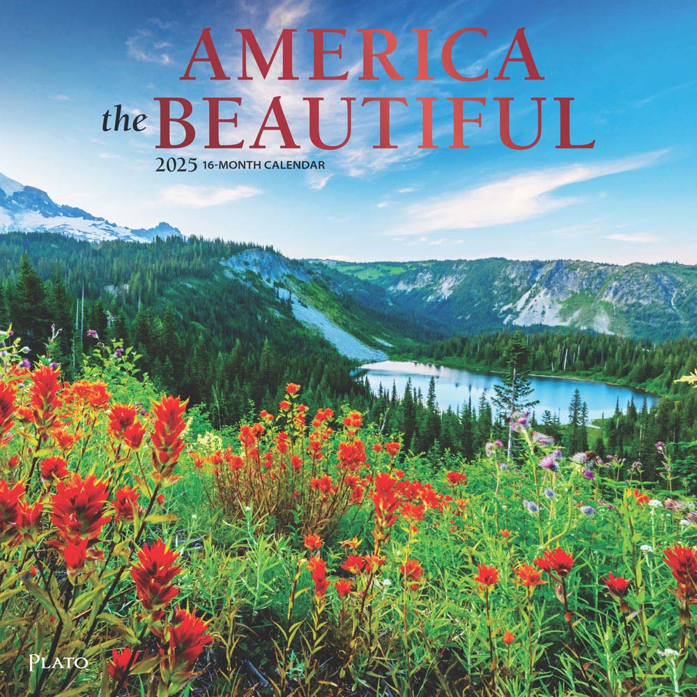 America the Beautiful | 2025 12 x 24 Inch Monthly Square Wall Calendar | Foil Stamped Cover | Plato | USA United States Scenic Nature