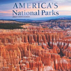 America's National Parks | 2025 12 x 24 Inch Monthly Square Wall Calendar | Foil Stamped Cover | Plato | Yosemite Yellowstone