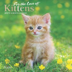 For the Love of Kittens | 2025 7 x 14 Inch Monthly Mini Wall Calendar | Foil Stamped Cover | Plato | Animals Cats Feline