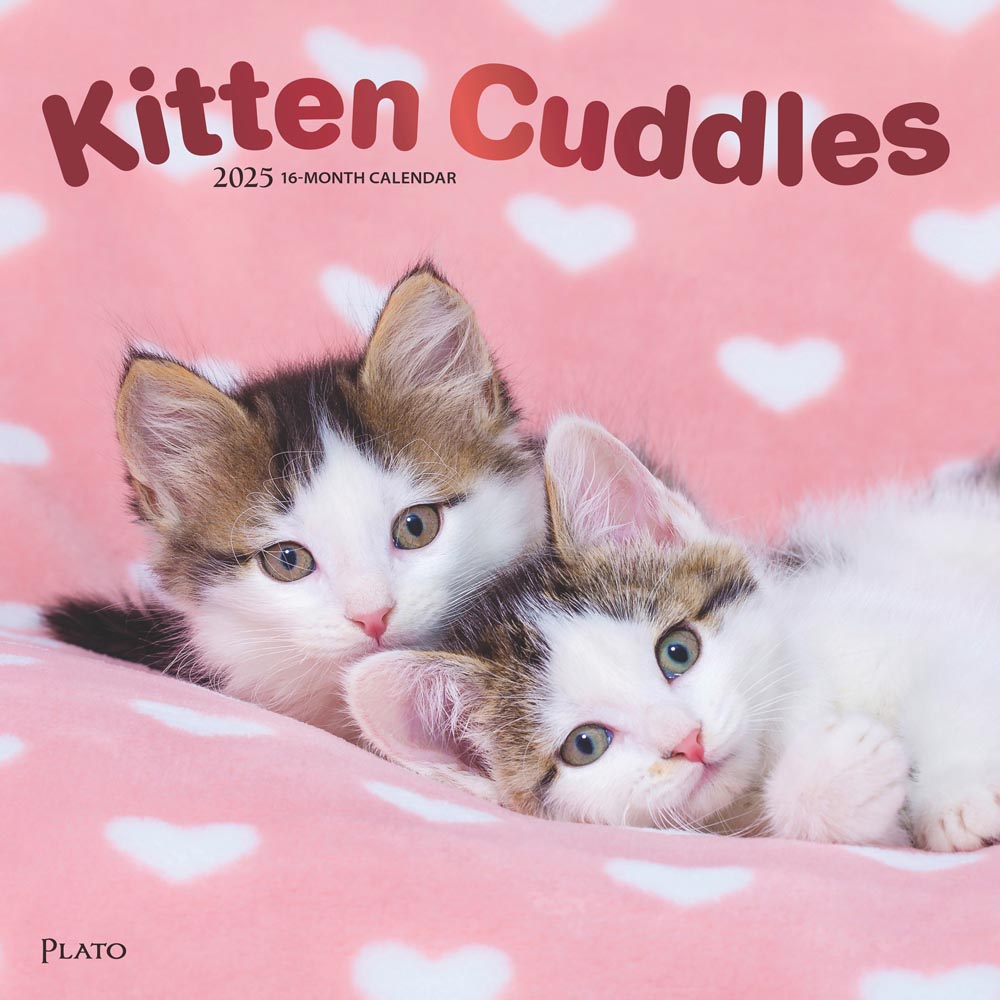Kitten Cuddles | 2025 12 x 24 Inch Monthly Square Wall Calendar | Foil Stamped Cover | Plato | Animals Cute Cat Feline