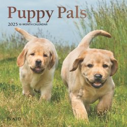 Puppy Pals | 2025 7 x 14 Inch Monthly Mini Wall Calendar | Foil Stamped Cover | Plato | Animals Dog Breeds Pets