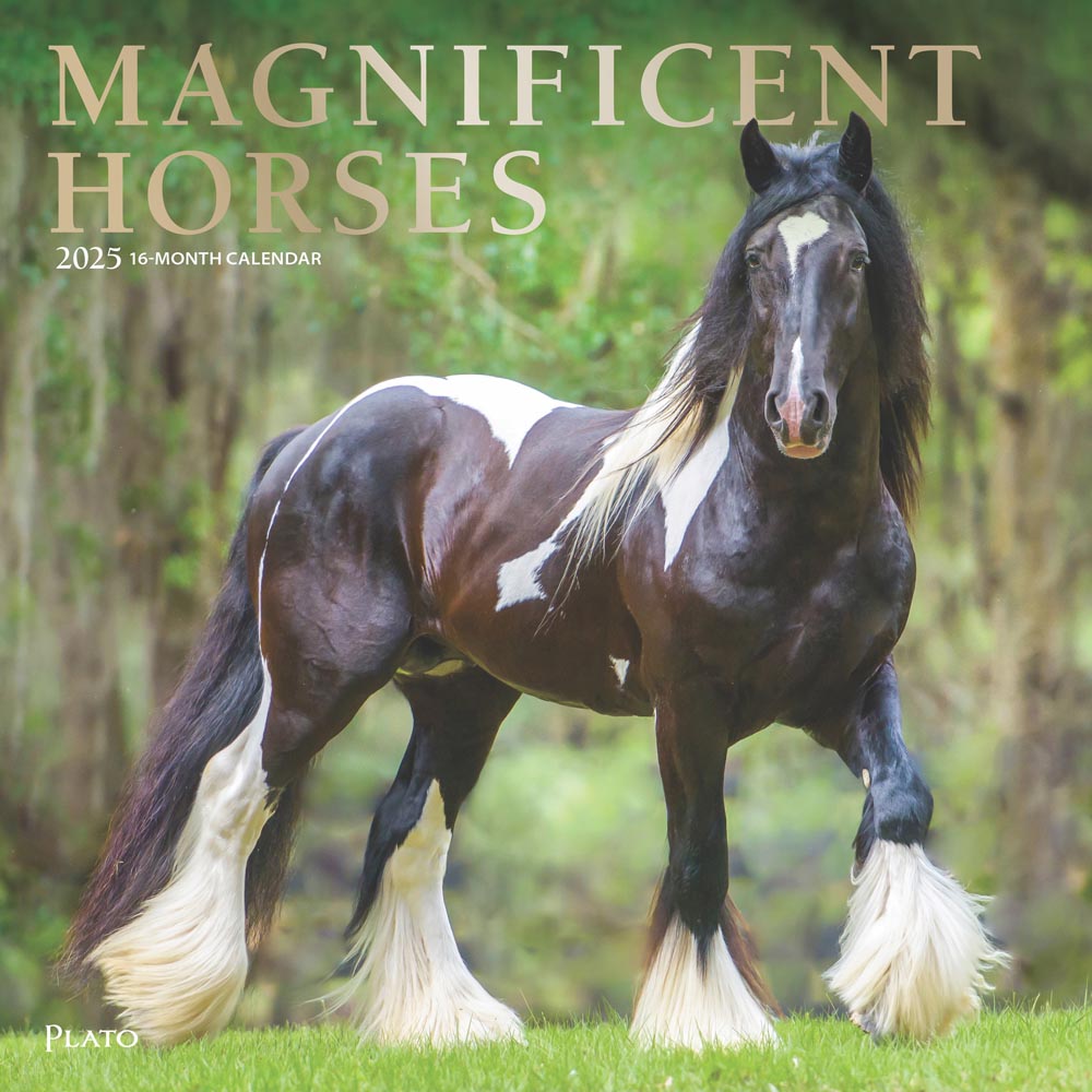 Magnificent Horses | 2025 12 x 24 Inch Monthly Square Wall Calendar | Foil Stamped Cover | Plato | Animals Horses Equestrian