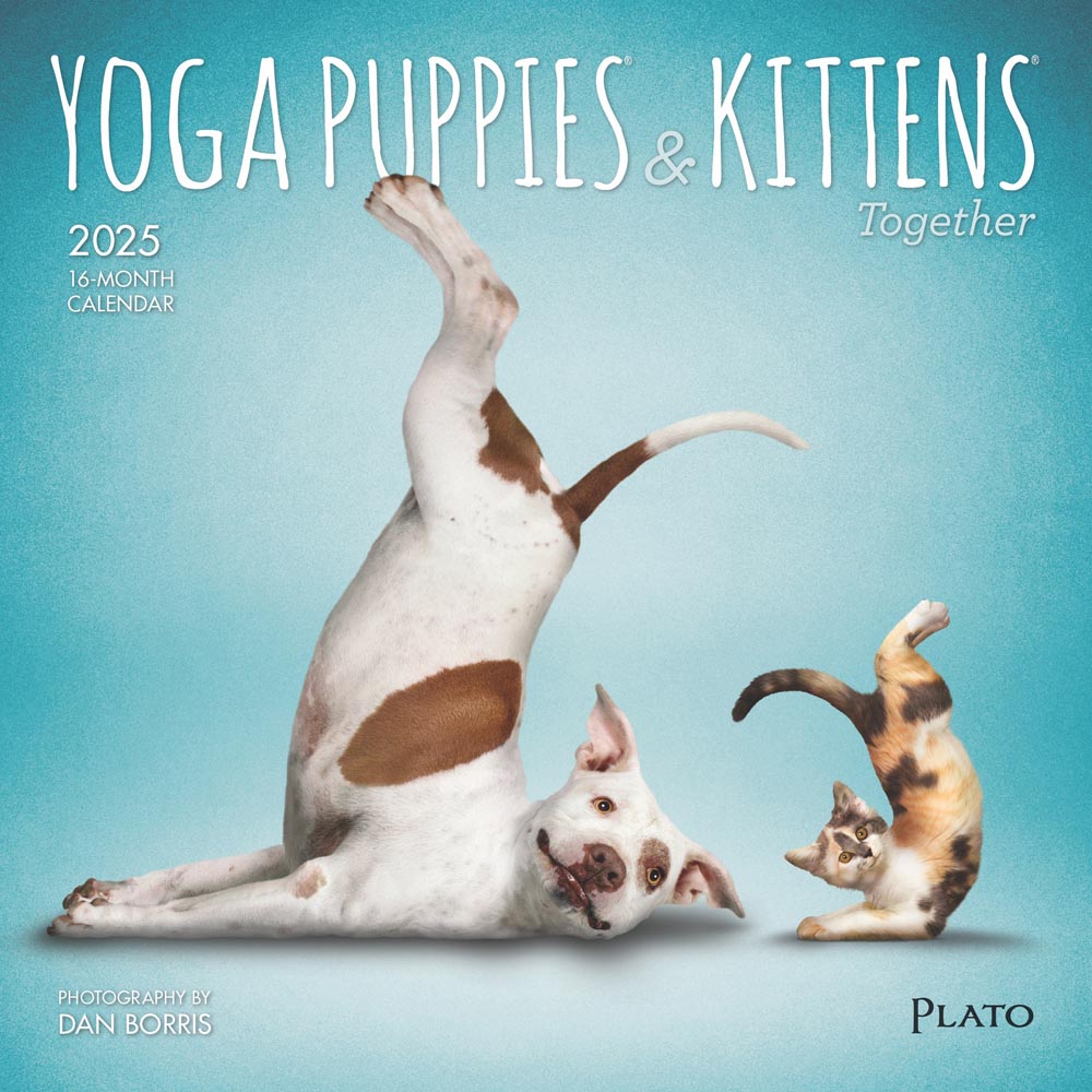 Yoga Puppies & Kittens Together OFFICIAL | 2025 7 x 14 Inch Monthly Mini Wall Calendar | Plato | Animals Dogs Cats Pets