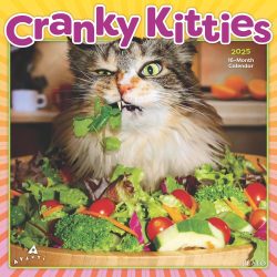 Avanti Cranky Kitties OFFICIAL | 2025 12 x 24 Inch Monthly Square Wall Calendar | Plato | Angry Cat Humor