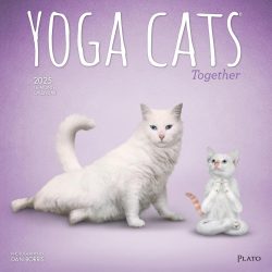 Yoga Cats Together OFFICIAL | 2025 12 x 24 Inch Monthly Square Wall Calendar | Plato | Animals Humor Pets