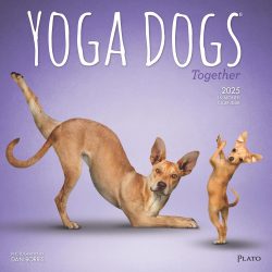 Yoga Dogs Together OFFICIAL | 2025 12 x 24 Inch Monthly Square Wall Calendar | Plato | Animals Humor Pets
