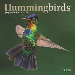 Hummingbirds | 2025 7 x 14 Inch Monthly Mini Wall Calendar | Foil Stamped Cover | Plato | Animals Wildlife