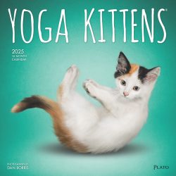 Yoga Kittens OFFICIAL | 2025 12 x 24 Inch Monthly Square Wall Calendar | Plato | Animals Humor Cats Feline