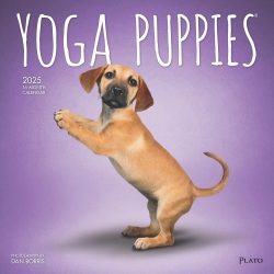 Yoga Puppies OFFICIAL | 2025 12 x 24 Inch Monthly Square Wall Calendar | Plato | Animals Humor Puppy Dogs Canine