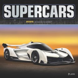 Supercars | 2025 12 x 24 Inch Monthly Square Wall Calendar | Foil Stamped Cover | Plato | Automobiles Luxury Prestige Hypercars