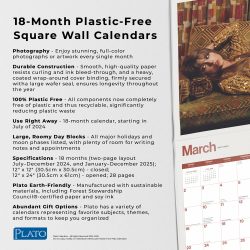 2025 12 x 24 Inch 18 Months Monthly Square Wall Calendar | July 2024 - December 2025 | Plastic-Free