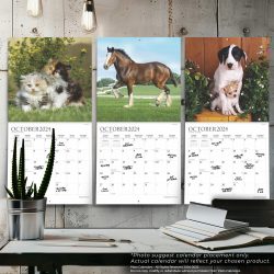 2025 18 Months Bundle | Three Square Wall Calendars | July 2024 - December 2025 | Plato