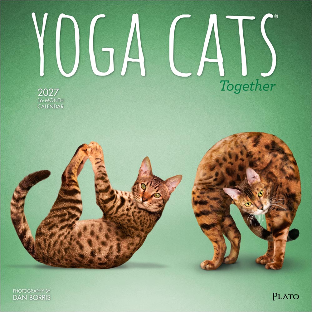 Yoga Cats Together OFFICIAL | 2027 12 x 24 Inch (Hanging) Monthly Square Wall Calendar | Plato | Animals Humor Pets