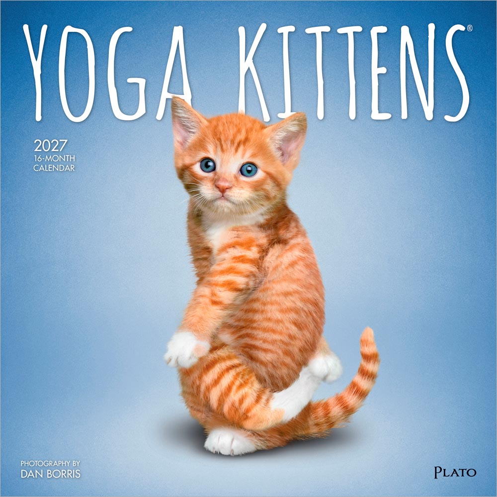 Yoga Kittens OFFICIAL | 2027 12 x 24 Inch (Hanging) Monthly Square Wall Calendar | Plato | Animals Humor Cats Feline