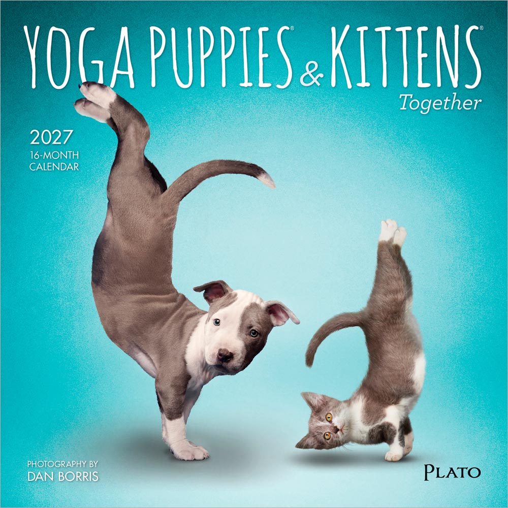 Yoga Puppies & Kittens Together OFFICIAL | 2027 7 x 14 Inch (Hanging) Monthly Mini Wall Calendar | Plato | Animals Dogs Cats Pets