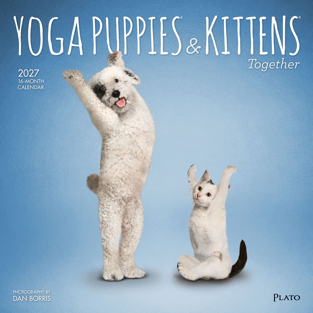 Yoga Puppies & Kittens Together OFFICIAL | 2027 12 x 24 Inch (Hanging) Monthly Square Wall Calendar | Plato | Animals Dogs Cats Pets