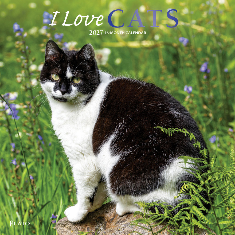 I Love Cats | 2027 12 x 24 Inch (Hanging) Monthly Square Wall Calendar | Foil Stamped Cover | Plato | Feline Kittens Pets